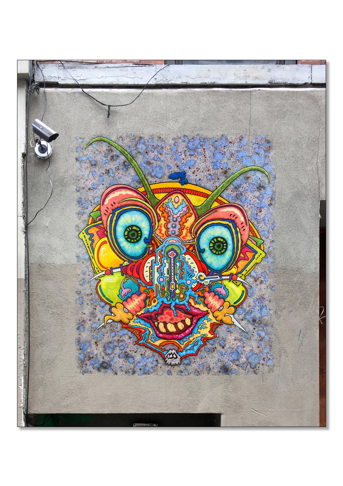 Bug Watching - Underground Street Art Print by DeJerb