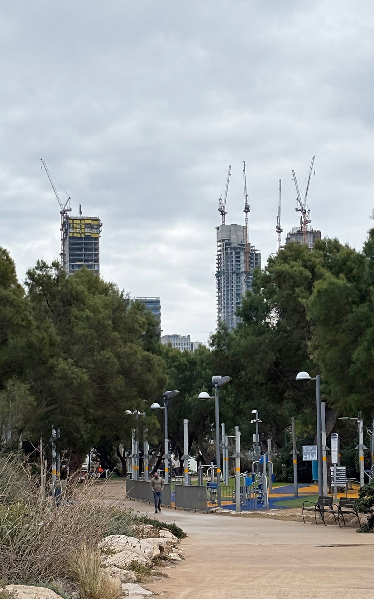 Urban park with construction cranes and high-rise buildings in the background