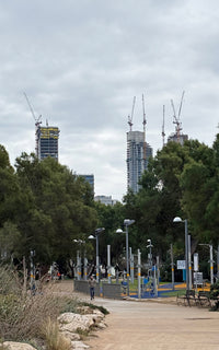 Urban park with construction cranes and high-rise buildings in the background