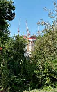 Photography art print featuring tall building under construction with cranes above, surrounded by green trees