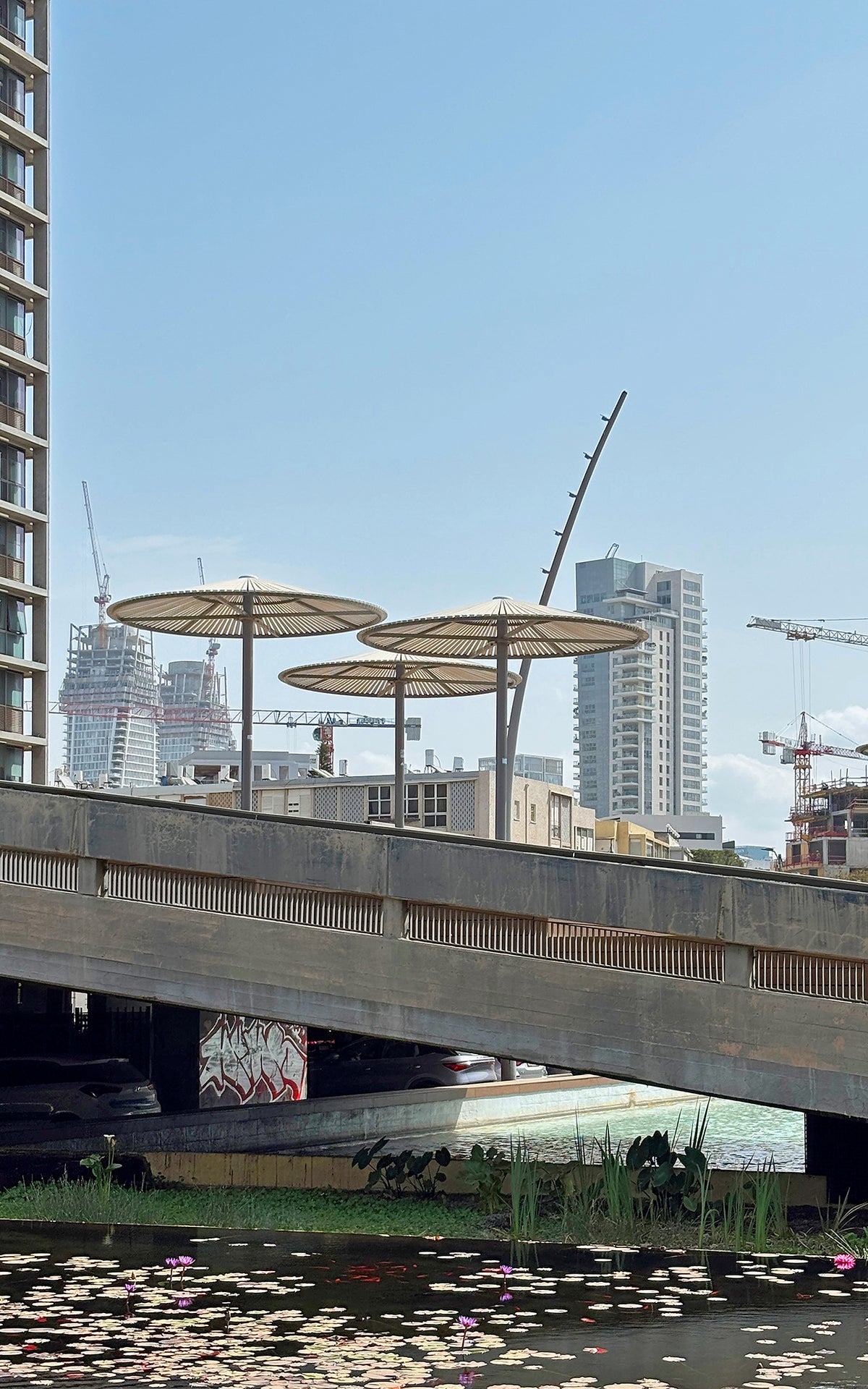 Photography print with a look from city hall of TLV to tall buildings under construction and cranes over sky in the background
